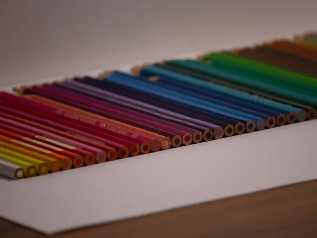 Colourful pencils beside paper for learning activities